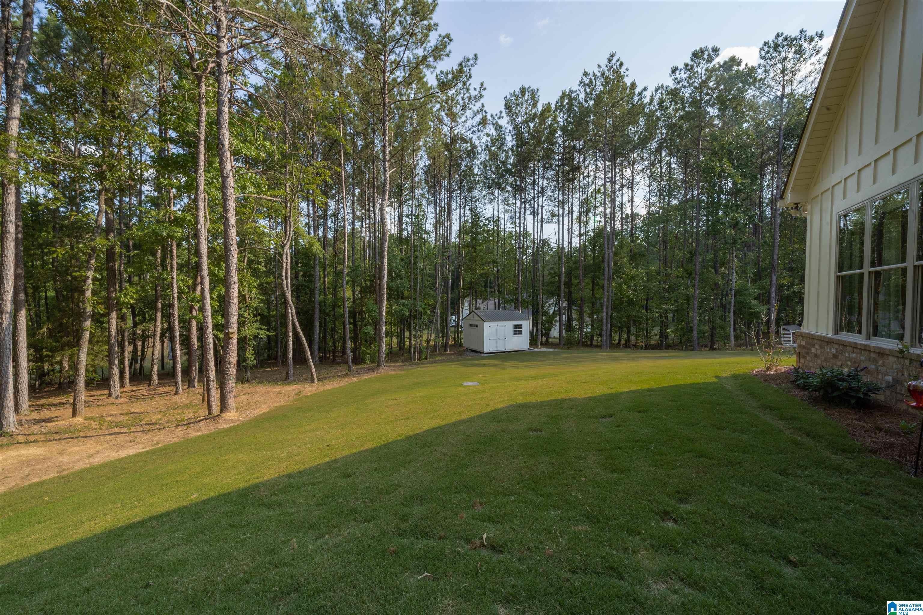 4324 Highway 331 Chelsea, AL 35043 - Photo 46 of 57