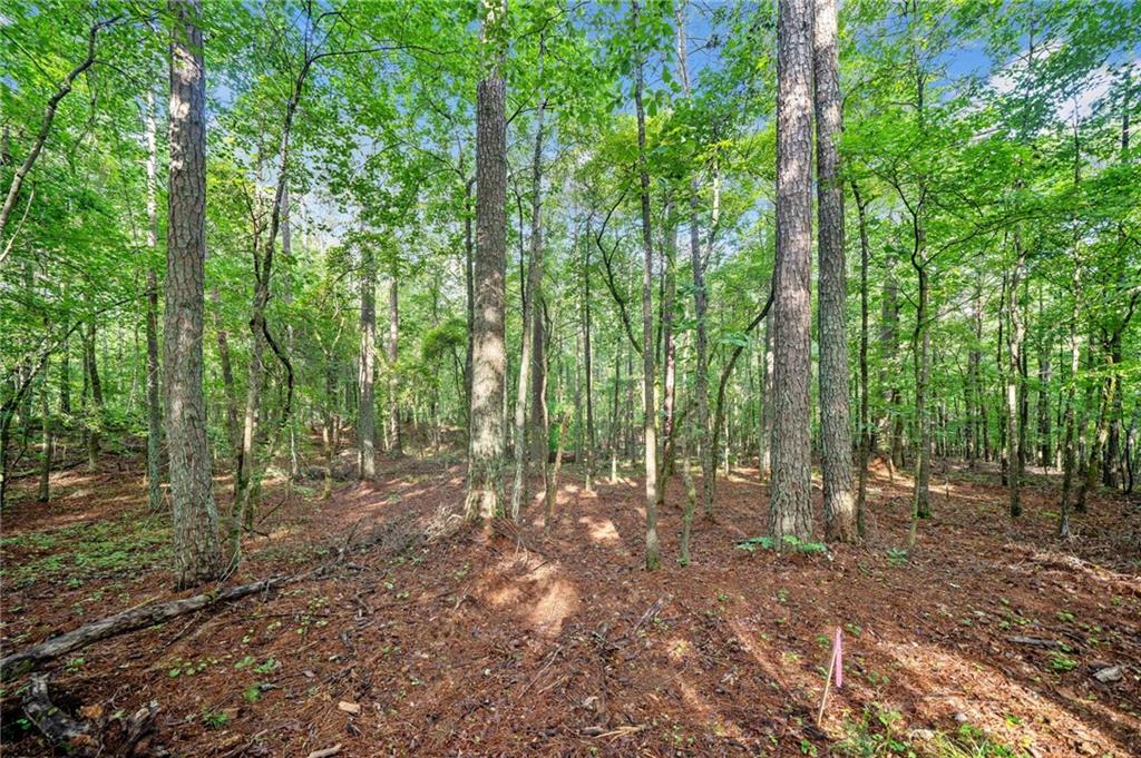 240 Brock Trail Milton, GA 30004 - Photo 16 of 31 a view of outdoor space and trees