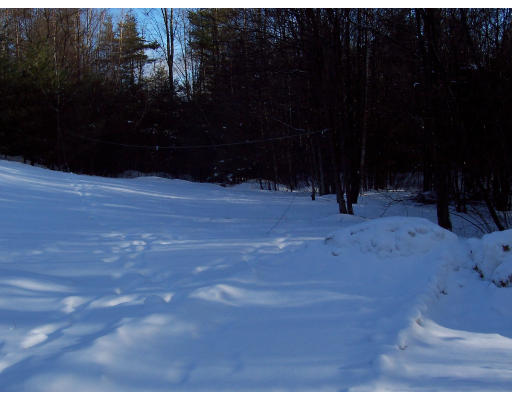 100 Eagleville Road Orange, MA 01364 - Photo 4 of 7 a view of yard