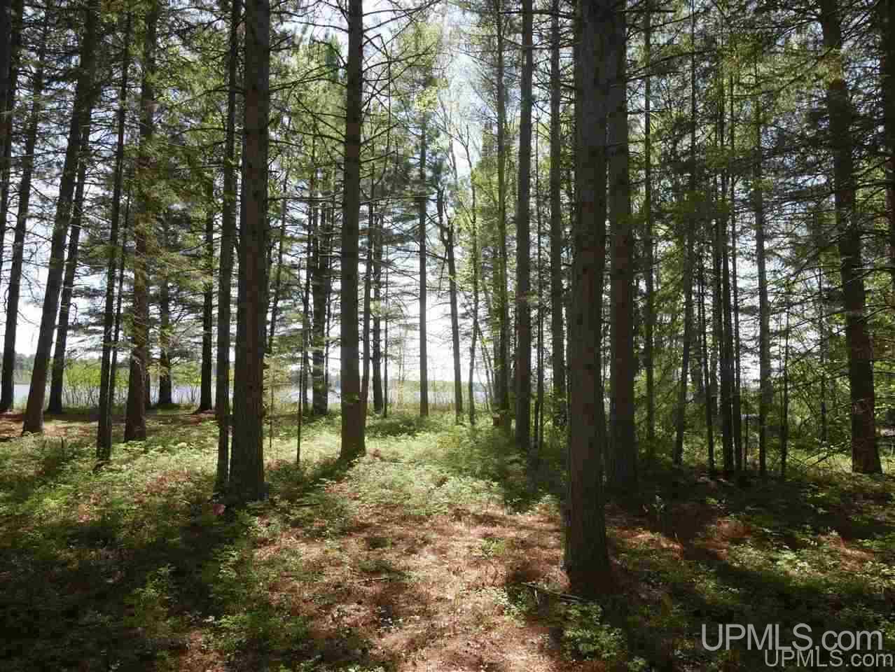33985 Rice Landing Rd Lake Lake Linden, MI 49945 - Photo 2 of 30