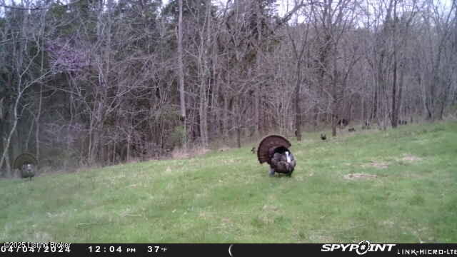 75-ac Bardstown Road Lawrenceburg, KY 40342 - Photo 7 of 15 image005