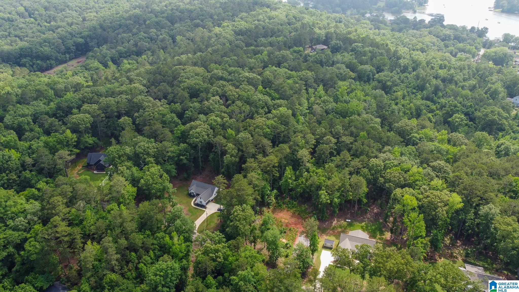 250 Black Acres Road, Unit 7 Cropwell, AL 35054 - Photo 1 of 5
