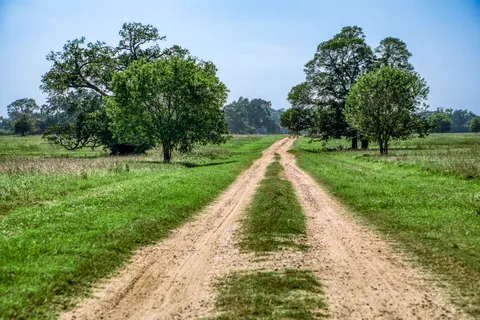 $3,150,000 | 5655 Brazos Bow Way, Washington, TX 77880