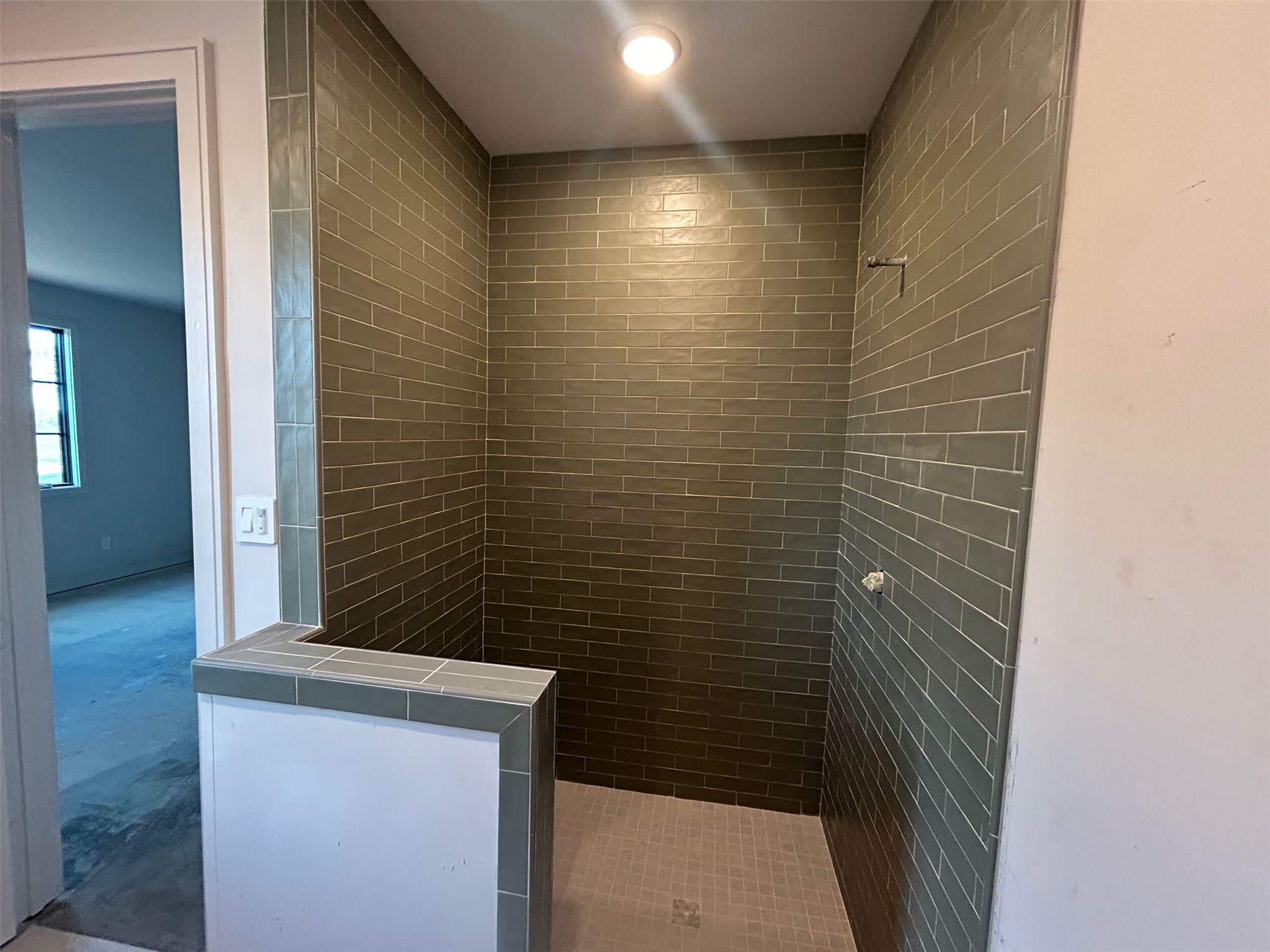 5655 Brazos Bow Way Washington, TX 77880 - Photo 10 of 38 a bathroom with a shower