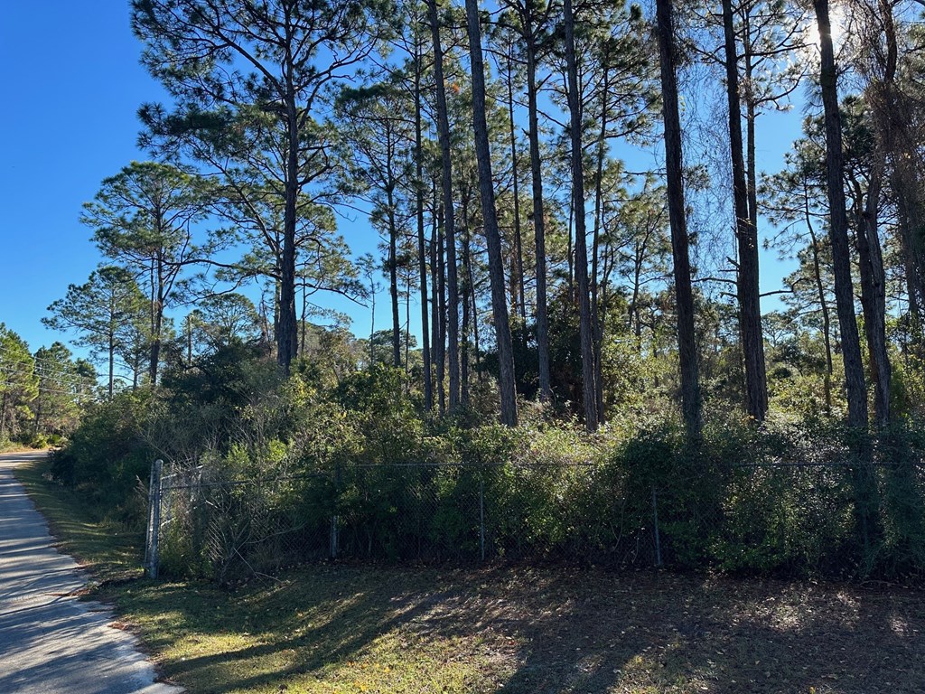 Parcel5 C Houston Road Eastpoint, FL 32328 - Photo 2 of 5