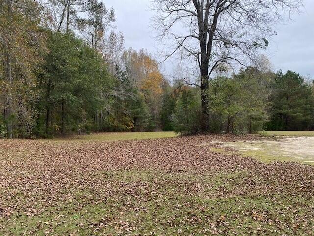 6384 Cobbham Road Appling, GA 30802 - Photo 1 of 4 4