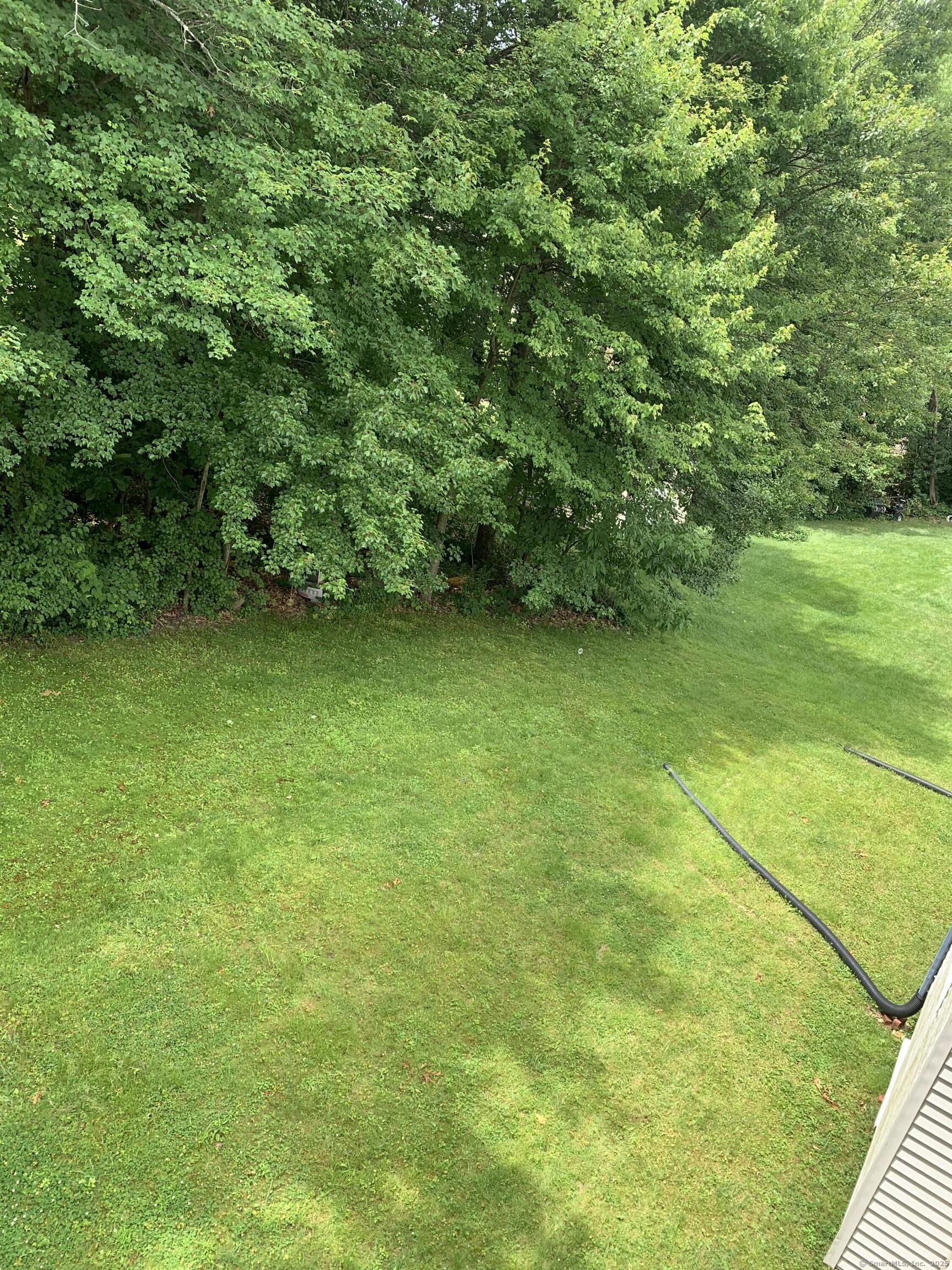 58 Amanda Circle Windsor, CT 06095 - Photo 3 of 36 a view of a green yard