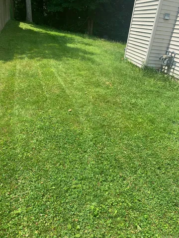 a view of a backyard with a garden