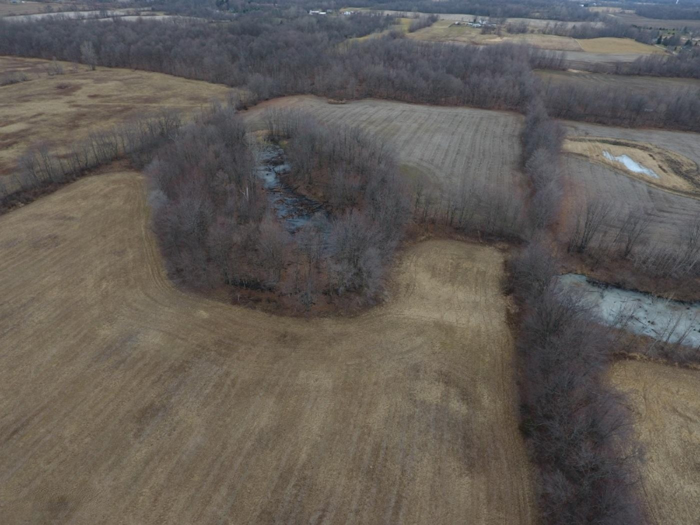 10900 Day Road Pittsford, MI 49271 - Photo 11 of 26 DJI_0011