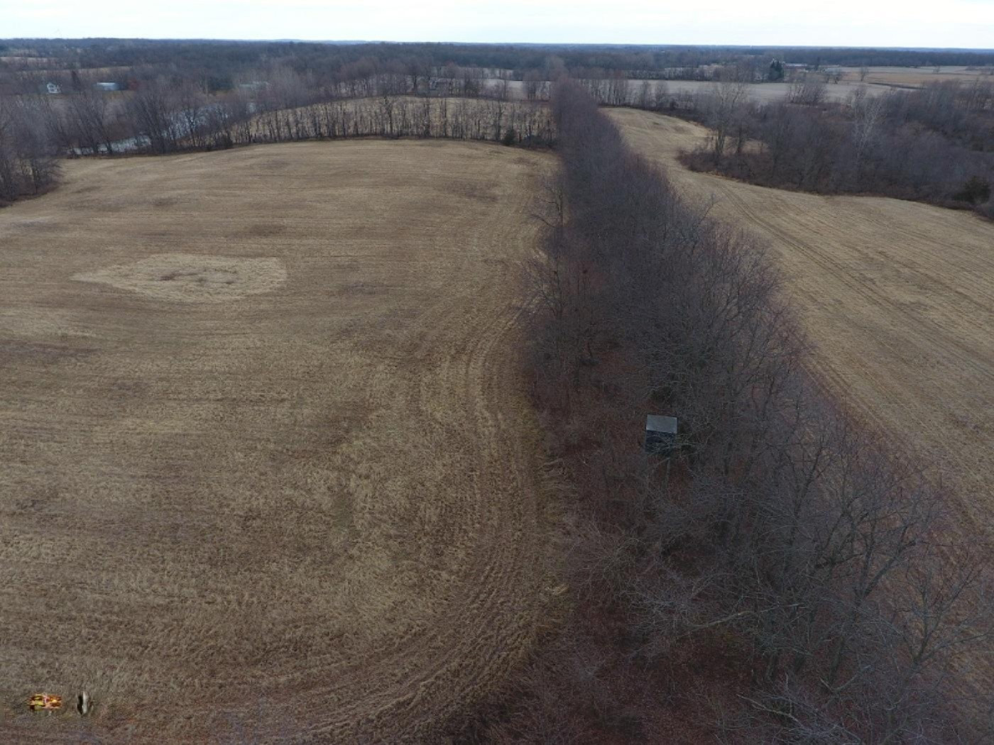 10900 Day Road Pittsford, MI 49271 - Photo 12 of 26 DJI_0012