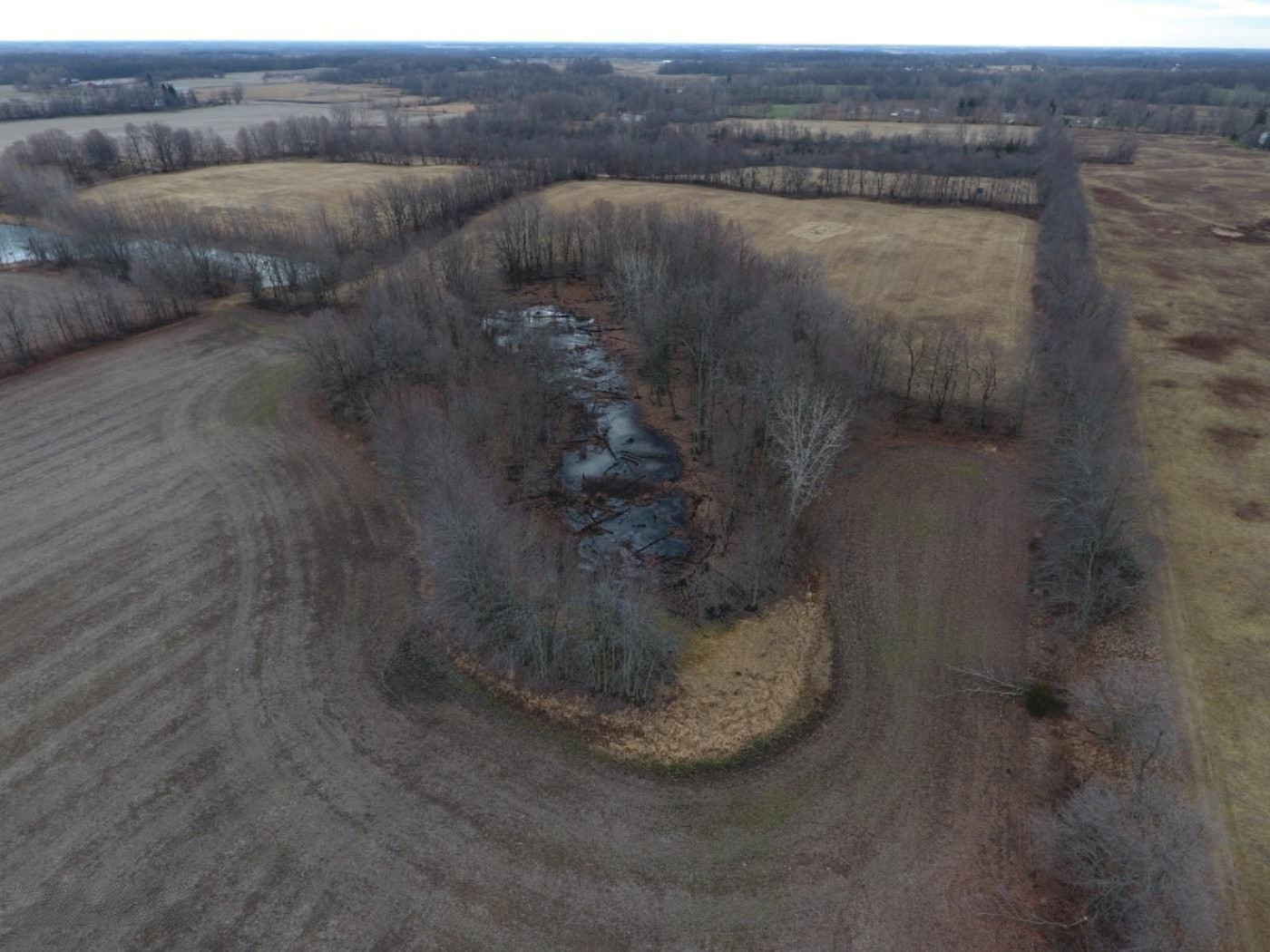 10900 Day Road Pittsford, MI 49271 - Photo 14 of 26 DJI_0014