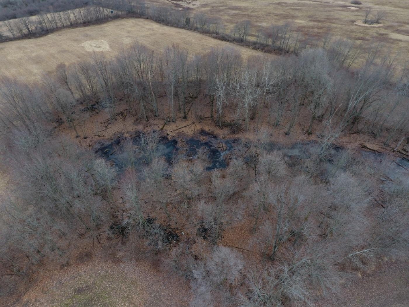 10900 Day Road Pittsford, MI 49271 - Photo 16 of 26 DJI_0016