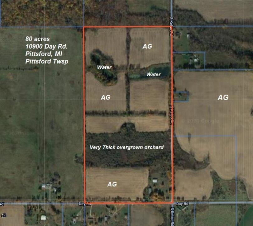 10900 Day Road Pittsford, MI 49271 - Photo 26 of 26 80 ac Day Rd