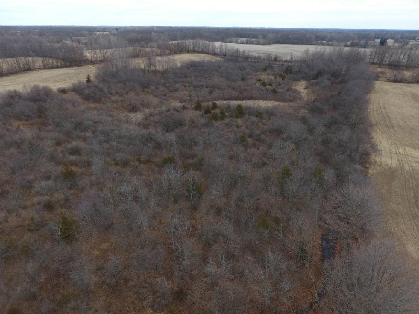 10900 Day Road Pittsford, MI 49271 - Photo 6 of 26 DJI_0006