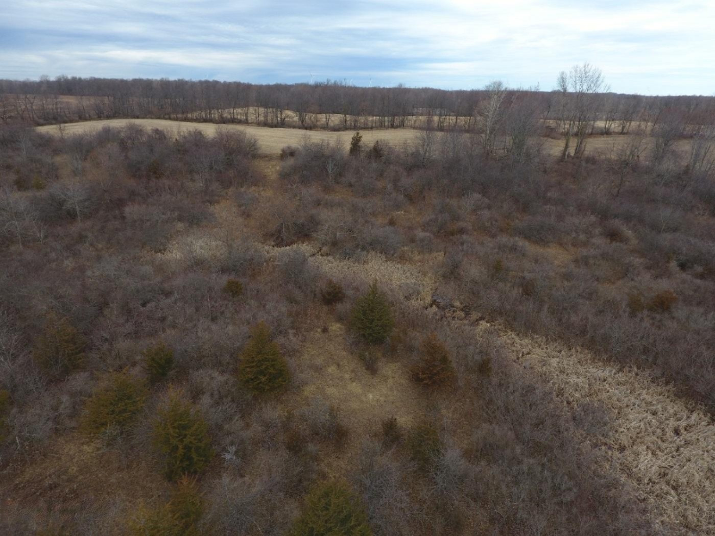 10900 Day Road Pittsford, MI 49271 - Photo 7 of 26 DJI_0007
