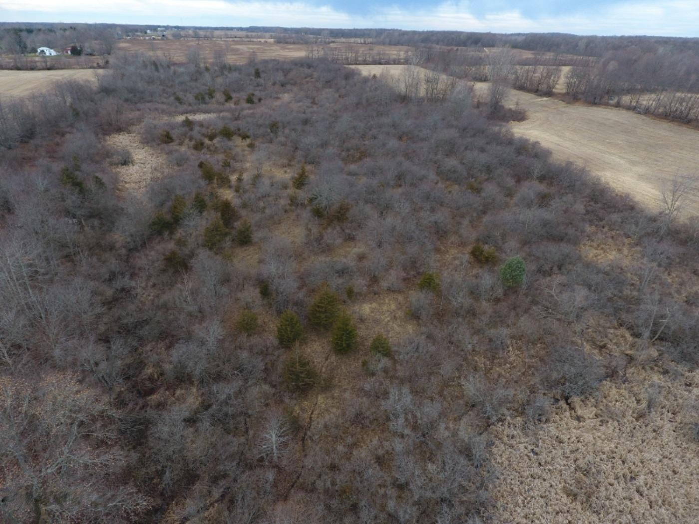 10900 Day Road Pittsford, MI 49271 - Photo 8 of 26 DJI_0008
