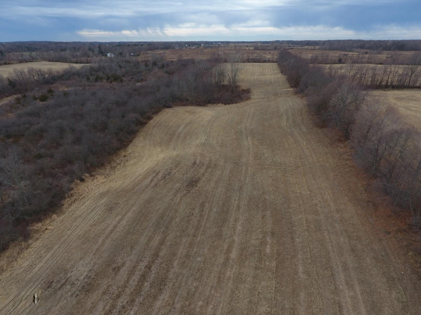 10900 Day Road Pittsford, MI 49271 - Photo 9 of 26 DJI_0009