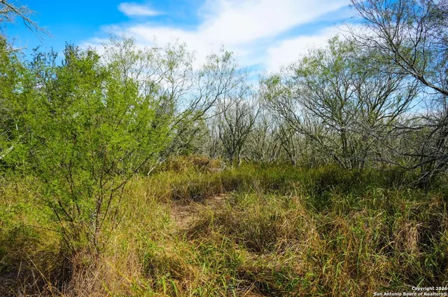 a view of a green field
