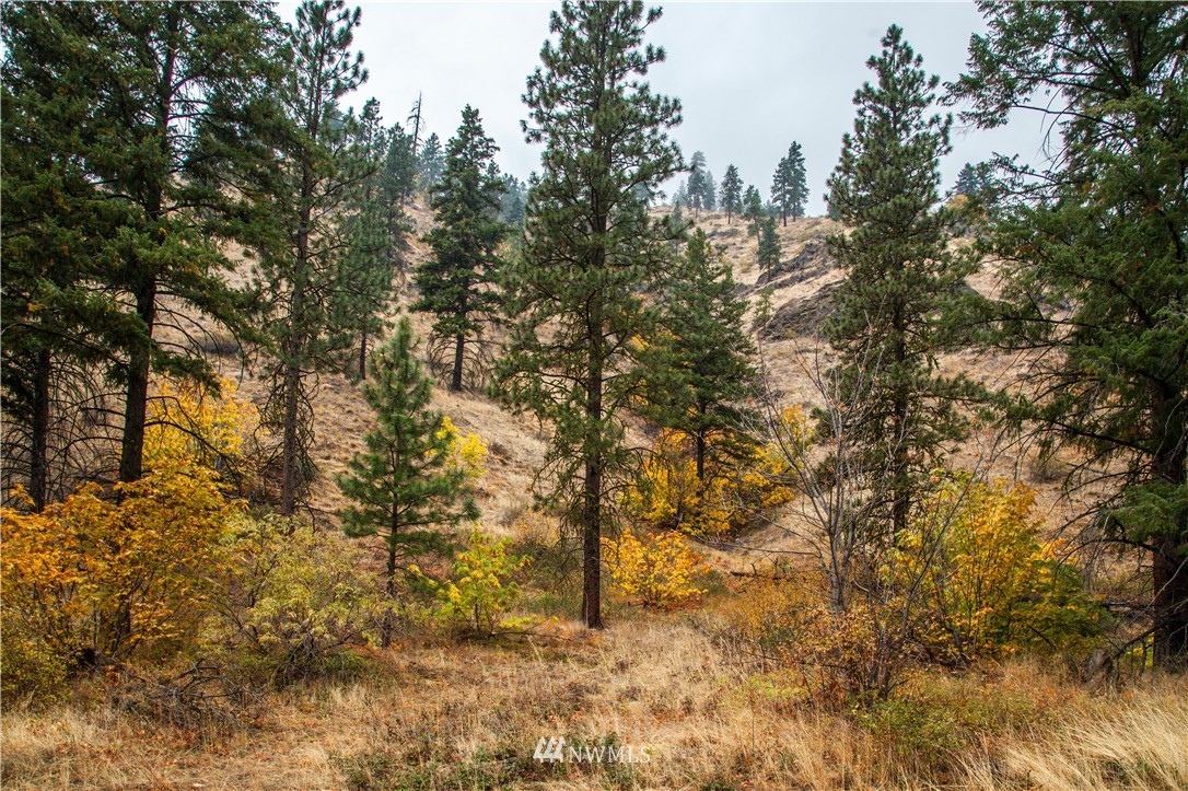 0 Olalla Canyon Road, Unit 9 Cashmere, WA 98815 - Photo 2 of 8 Gallery Image 2