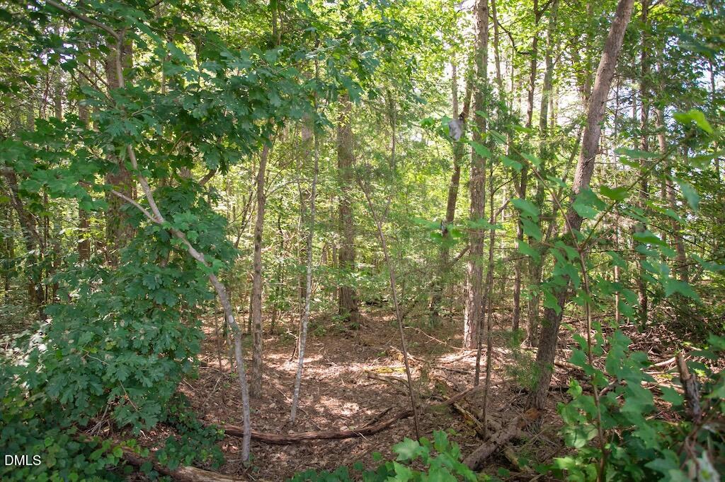 0 Stone Drive Roxboro, NC 27573 - Photo 35 of 96 22
