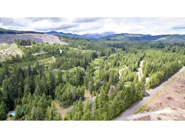 $59,500 | 1 Lodgepole Lane, Cougar, WA 98616