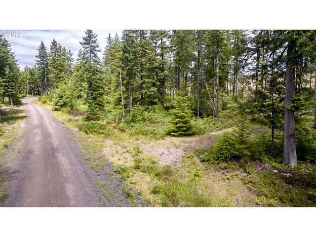 a open area with trees in the background