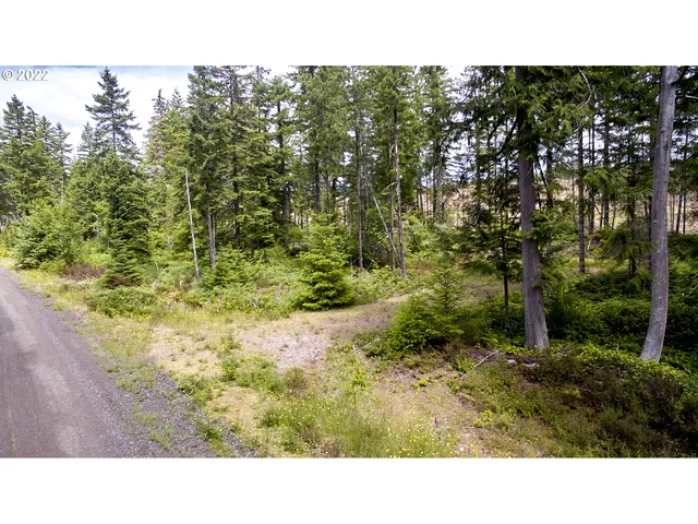 a open area with trees in front of it