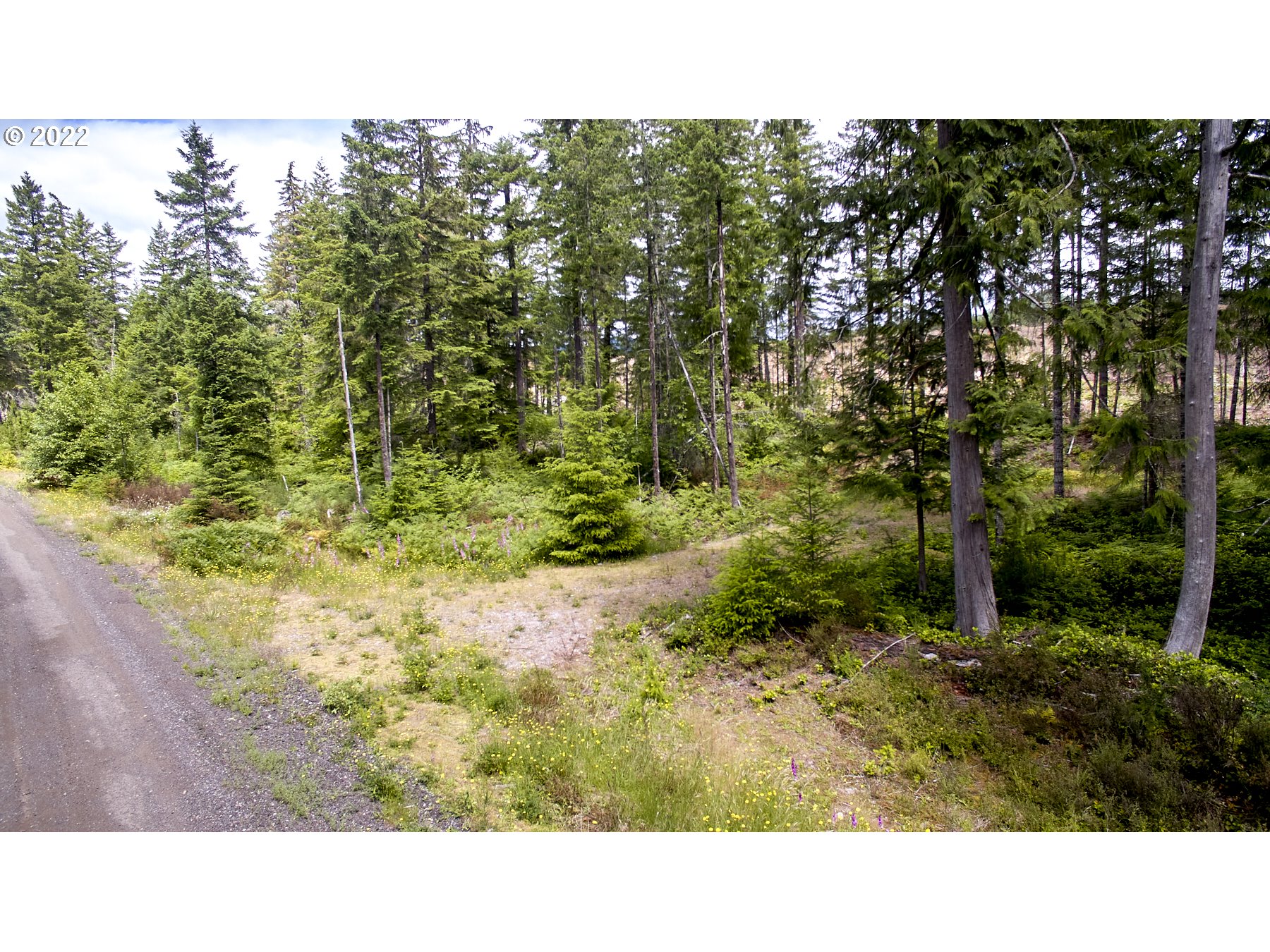 1 Lodgepole Lane Cougar, WA 98616 - Photo 3 of 7