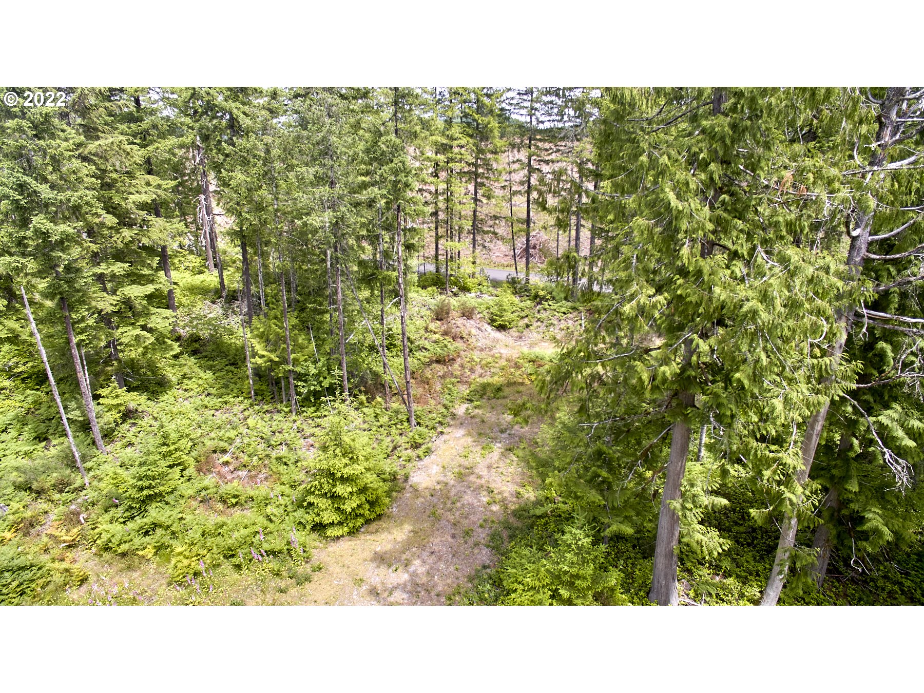 1 Lodgepole Lane Cougar, WA 98616 - Photo 4 of 7 Acreage