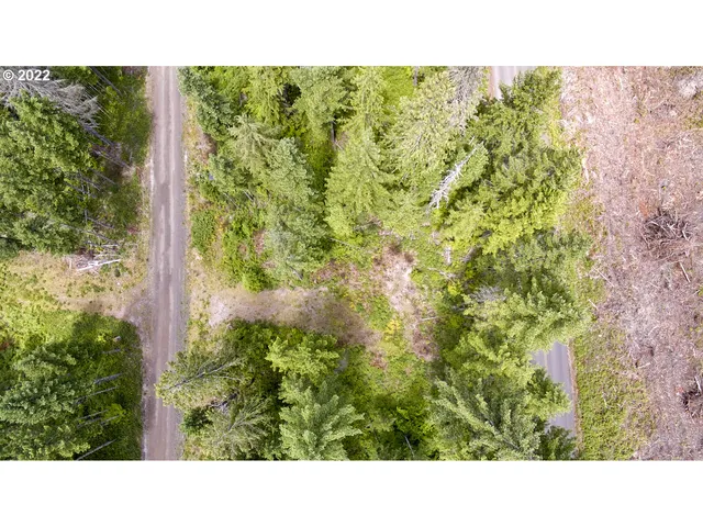 a open area with trees in the background