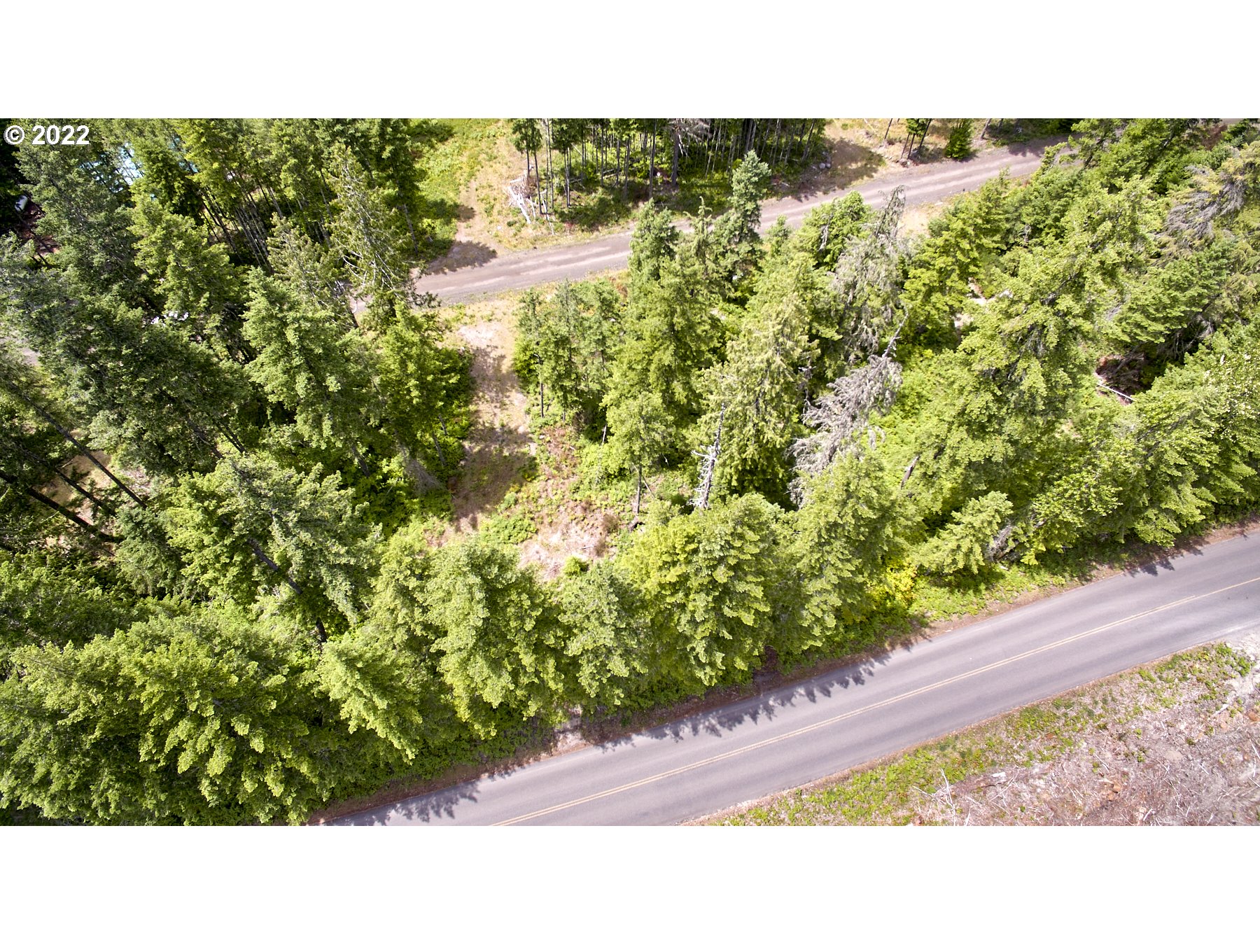 1 Lodgepole Lane Cougar, WA 98616 - Photo 6 of 7