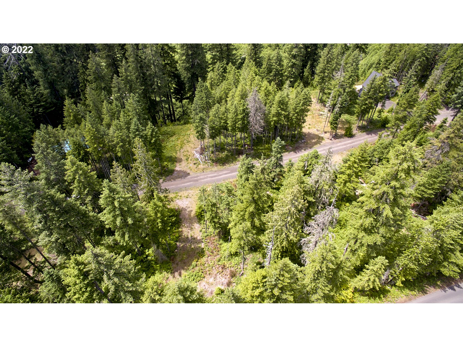 1 Lodgepole Lane Cougar, WA 98616 - Photo 7 of 7 Acreage