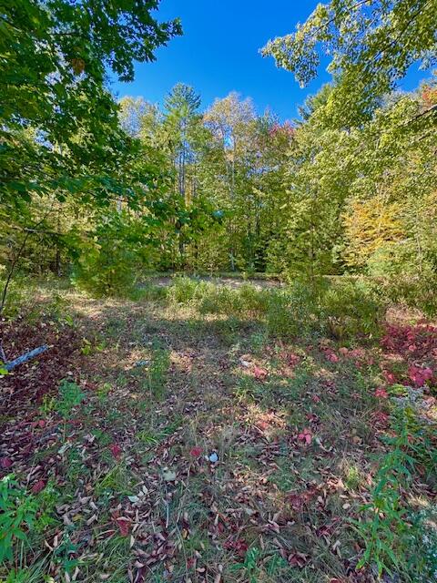 Lot 1 Oak Hill Road Smithfield, ME 04978 - Photo 15 of 23 IMG_6239