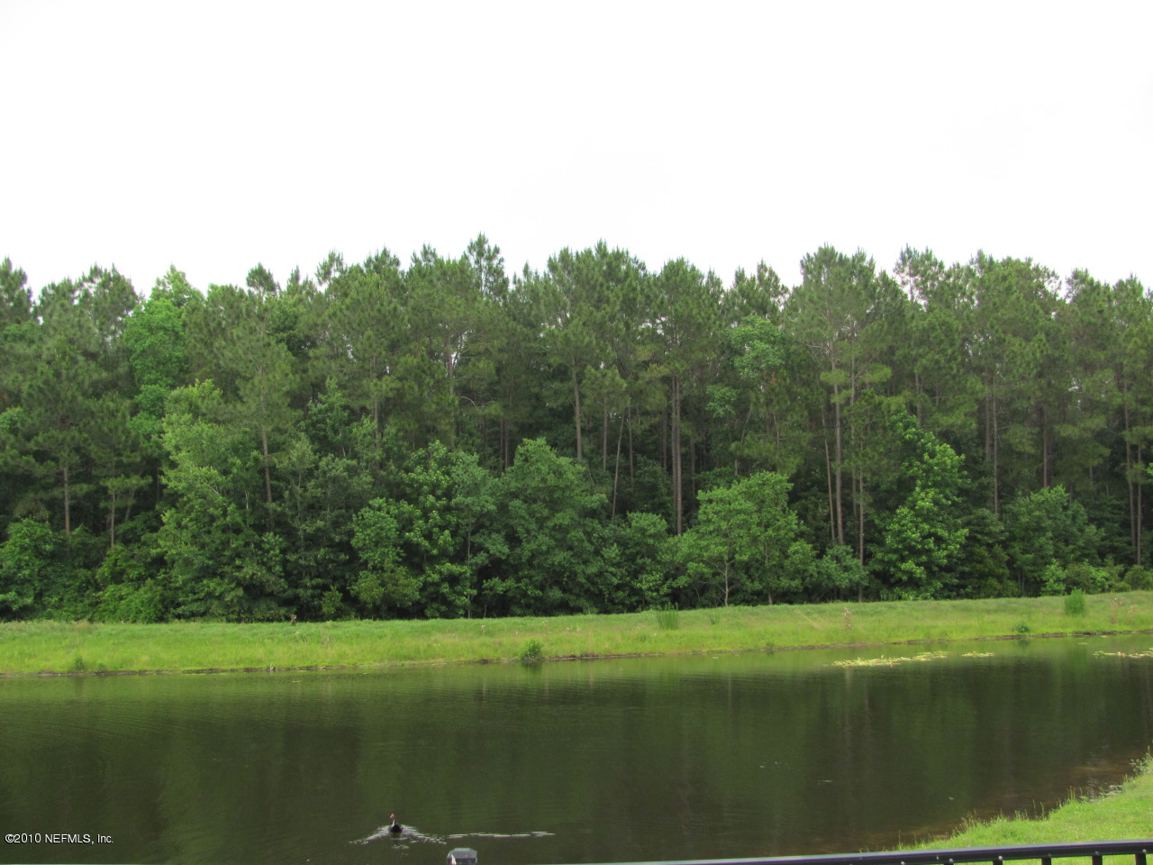 1519 Falkland Road East Jacksonville, FL 32221 - Photo 11 of 11 Backyard with pond views