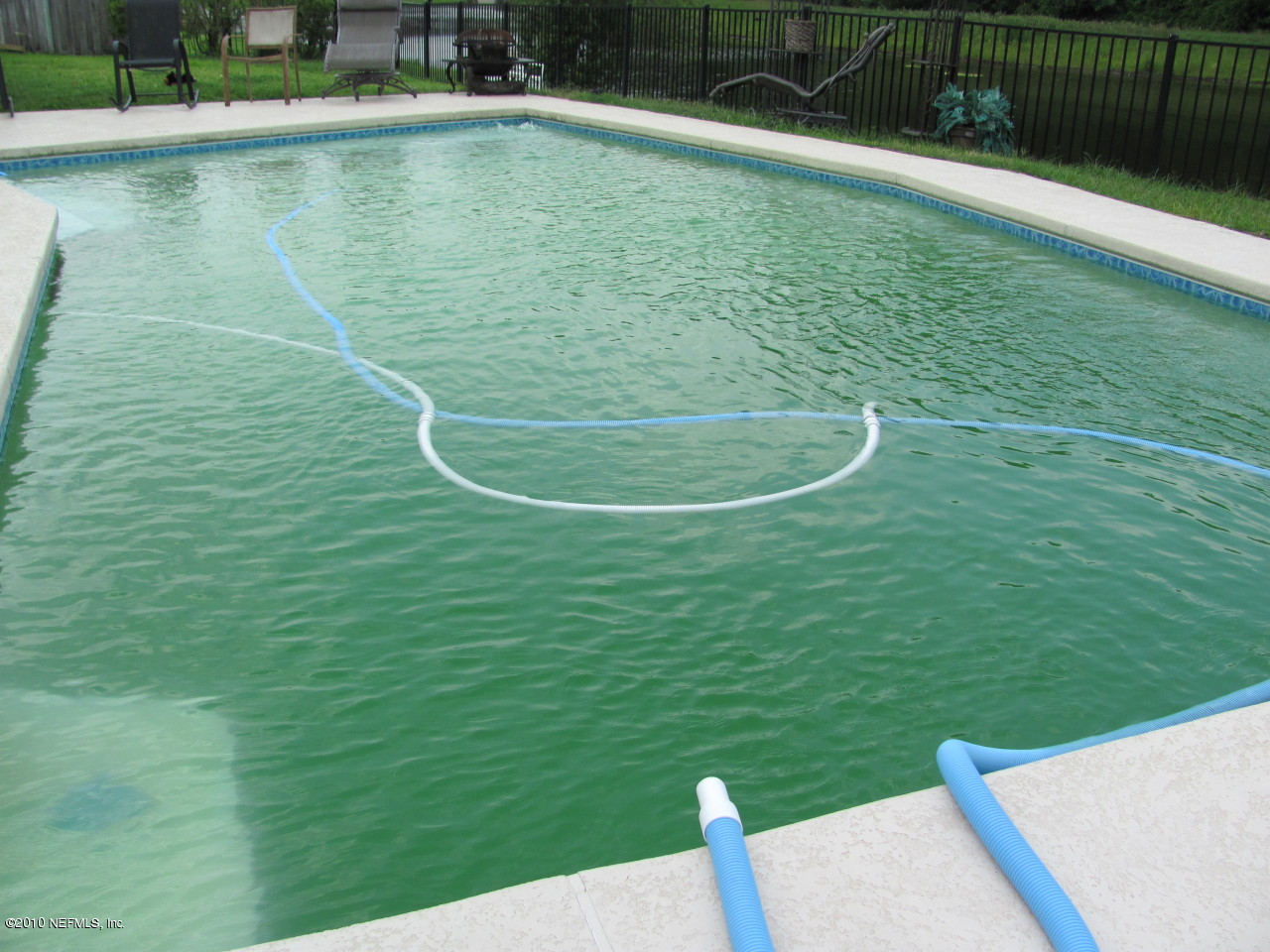 1519 Falkland Road East Jacksonville, FL 32221 - Photo 10 of 11 Pool