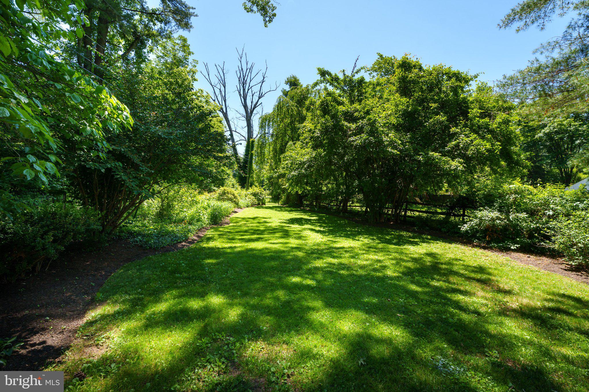 528 Mercer Road Princeton, NJ 08540 - Photo 37 of 43 Lush green oasis under clear skies.
