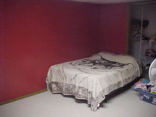 8780 North Meridian Road Pleasant Lake, MI 49272 - Photo 9 of 11 Photo 9