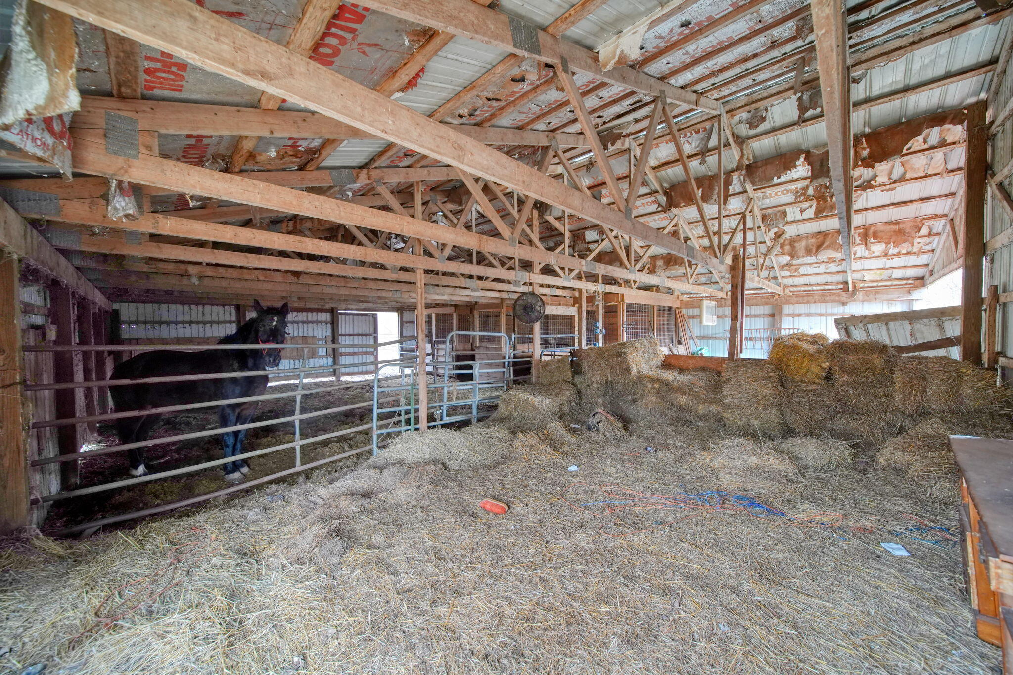 13840 North Adams Road Addison, MI 49220 - Photo 27 of 38 27-web-or-mls-DSC08120_HDR