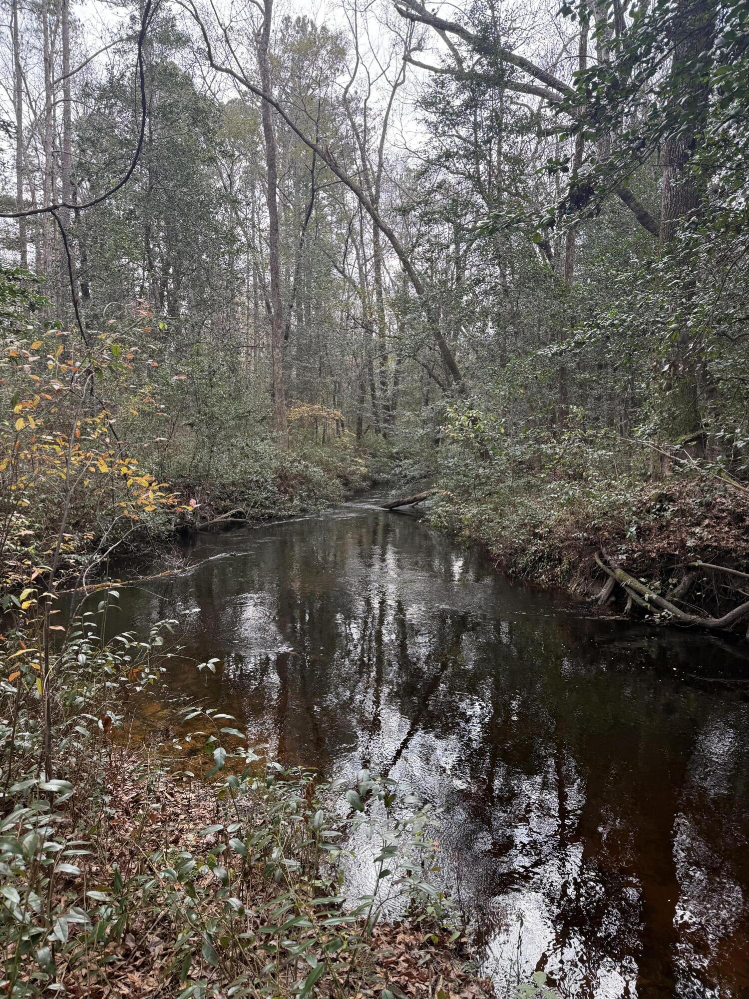 675 Vaughns Mill Pond Road Camden, SC 29020 - Photo 1 of 8 IMG_2888