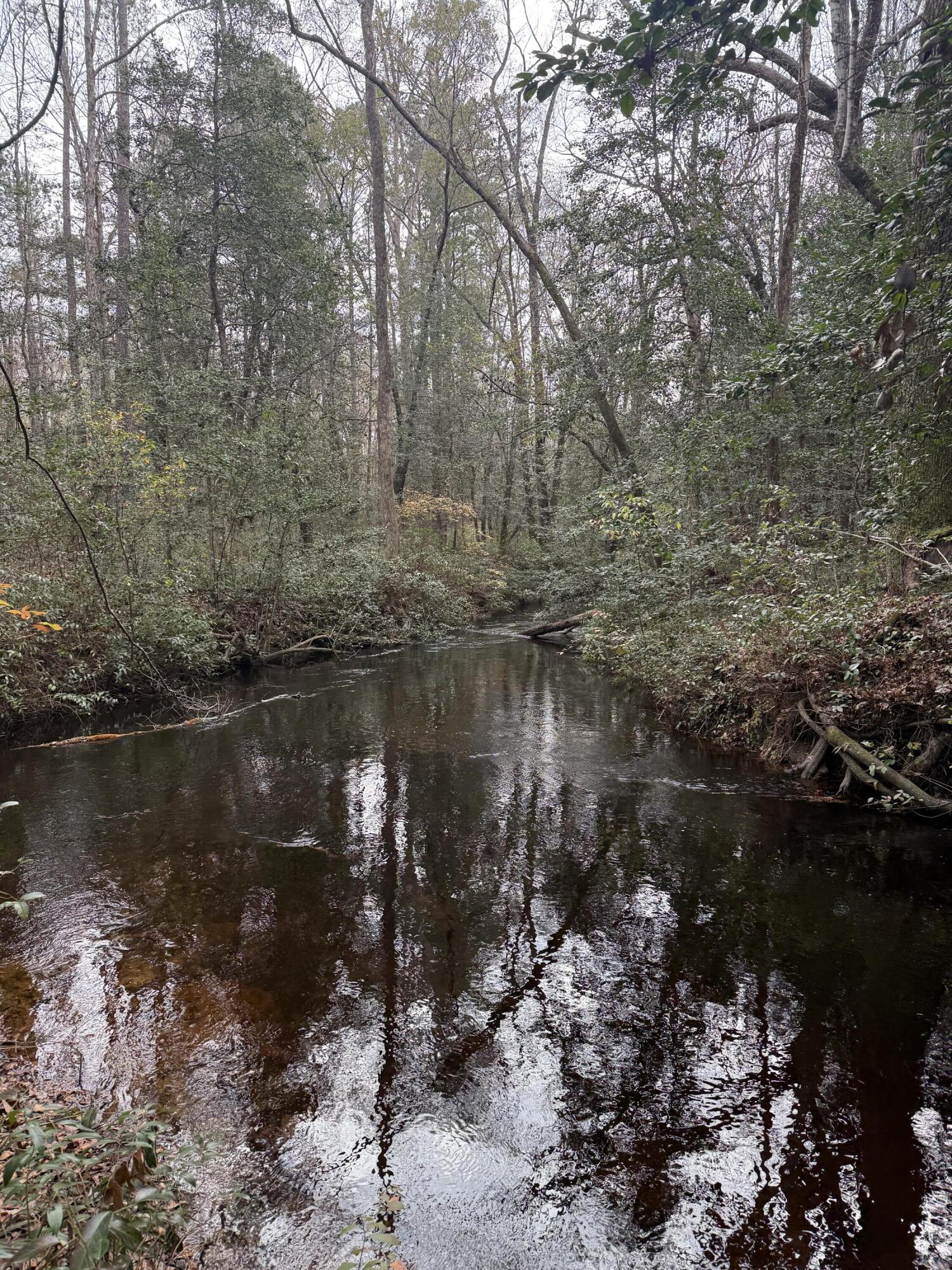 675 Vaughns Mill Pond Road Camden, SC 29020 - Photo 2 of 8 IMG_2892