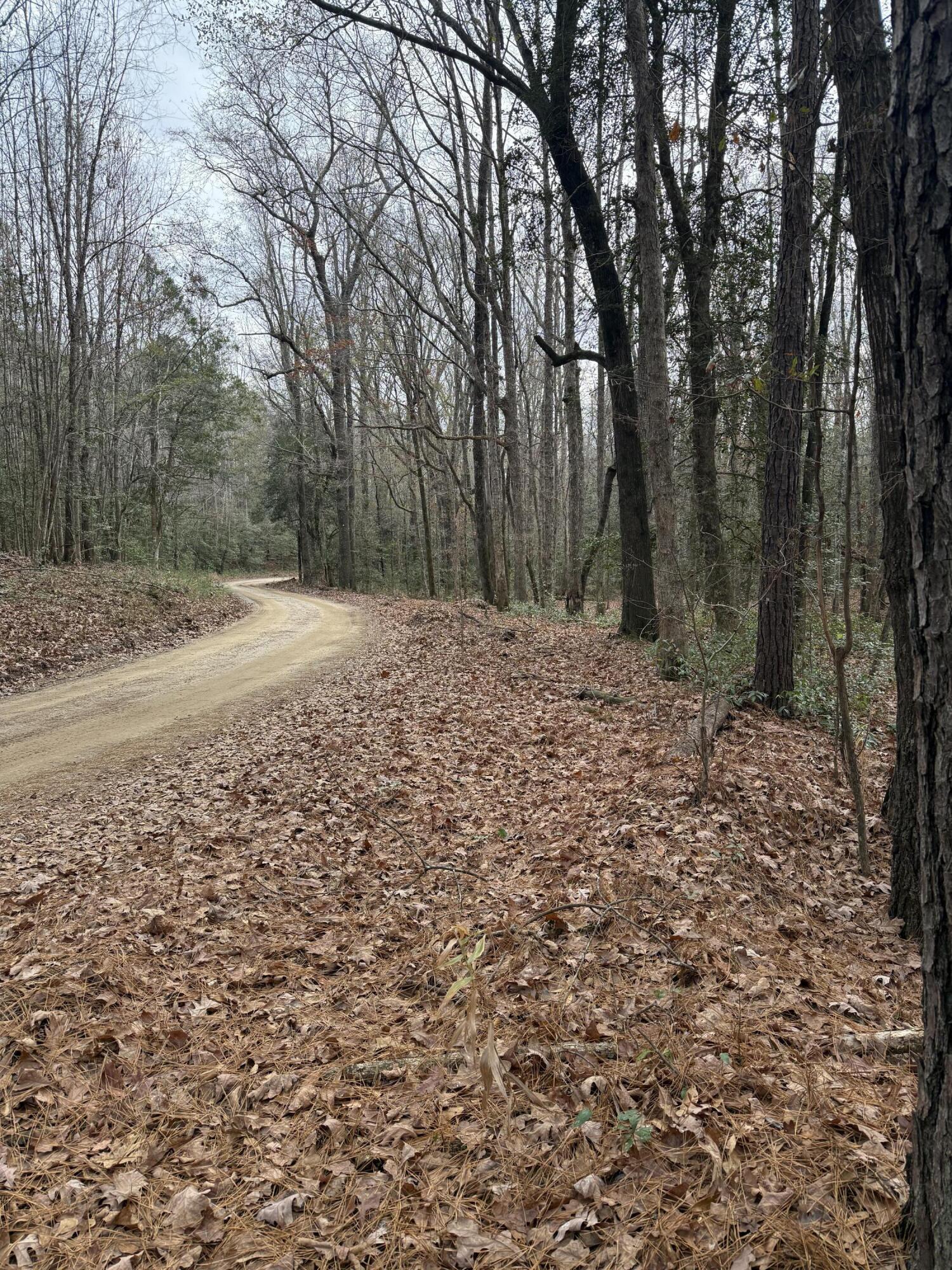 675 Vaughns Mill Pond Road Camden, SC 29020 - Photo 3 of 8 IMG_2895