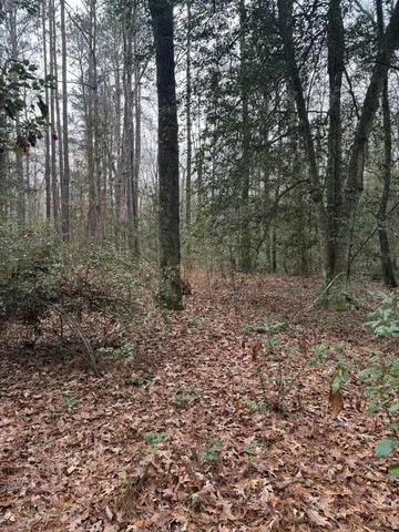 $150,000 | 675 Vaughns Mill Pond Road, Camden, SC 29020