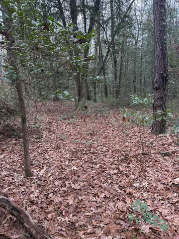 $150,000 | 675 Vaughns Mill Pond Road, Camden, SC 29020