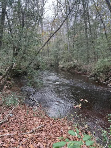 $150,000 | 675 Vaughns Mill Pond Road, Camden, SC 29020