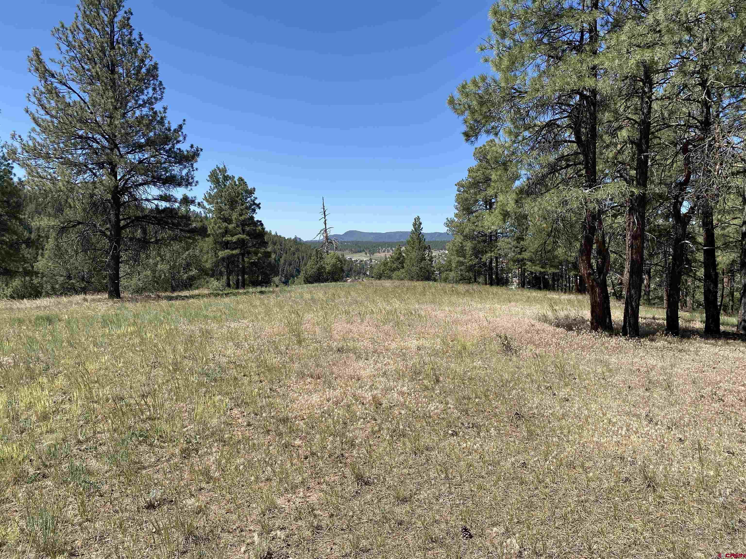 X Rumbaugh Road Pagosa Springs, CO 81147 - Photo 4 of 21 a backyard of a house with lots of green space