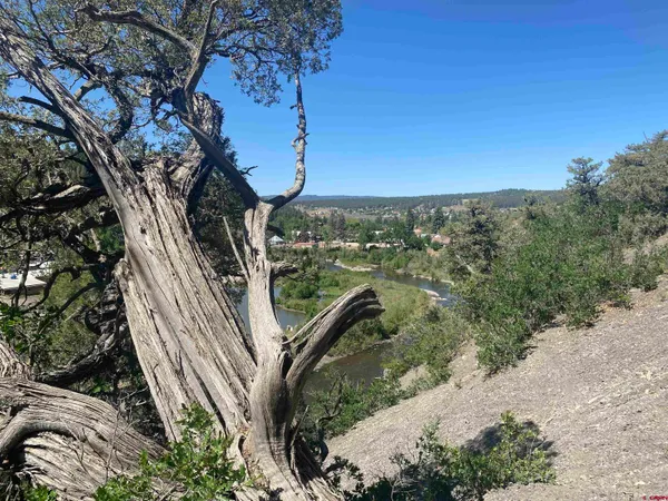 a view of a lake from a yard
