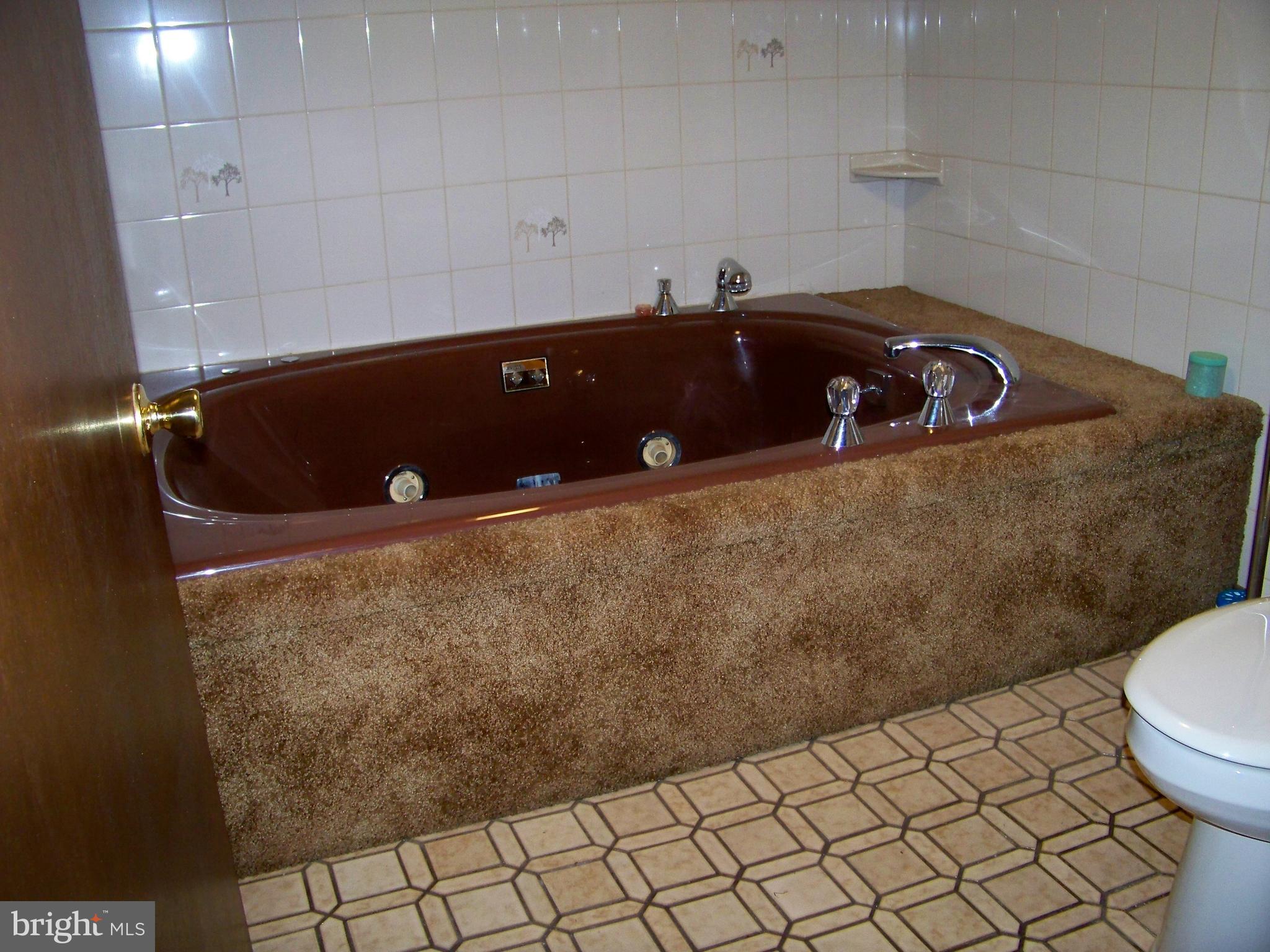 627 Truce Road New Providence, PA 17560 - Photo 31 of 32 Basement jetted tub