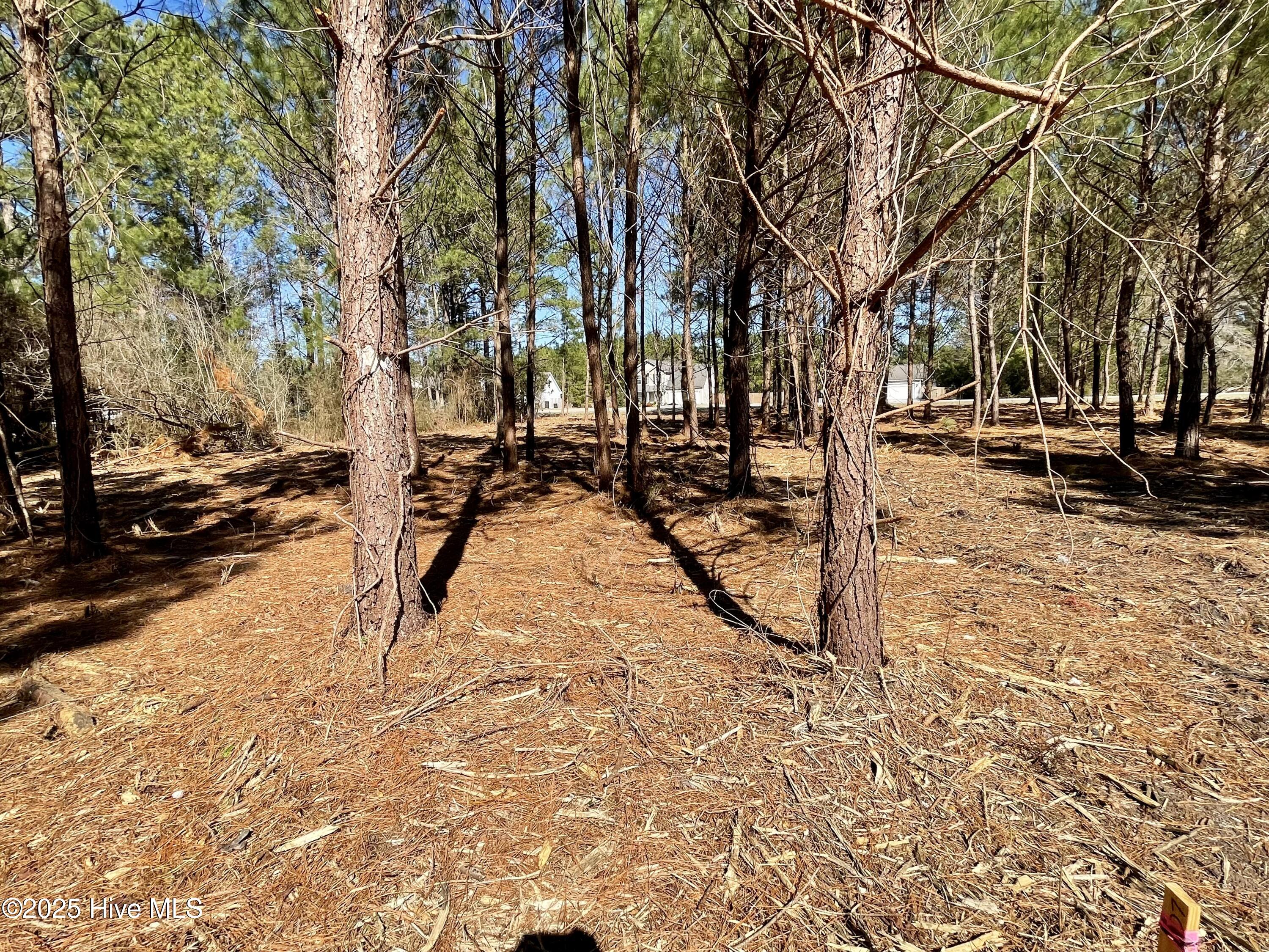 Lot 3 King Road Jacksonville, NC 28540 - Photo 12 of 14 LOT 2 FROM RT SIDE