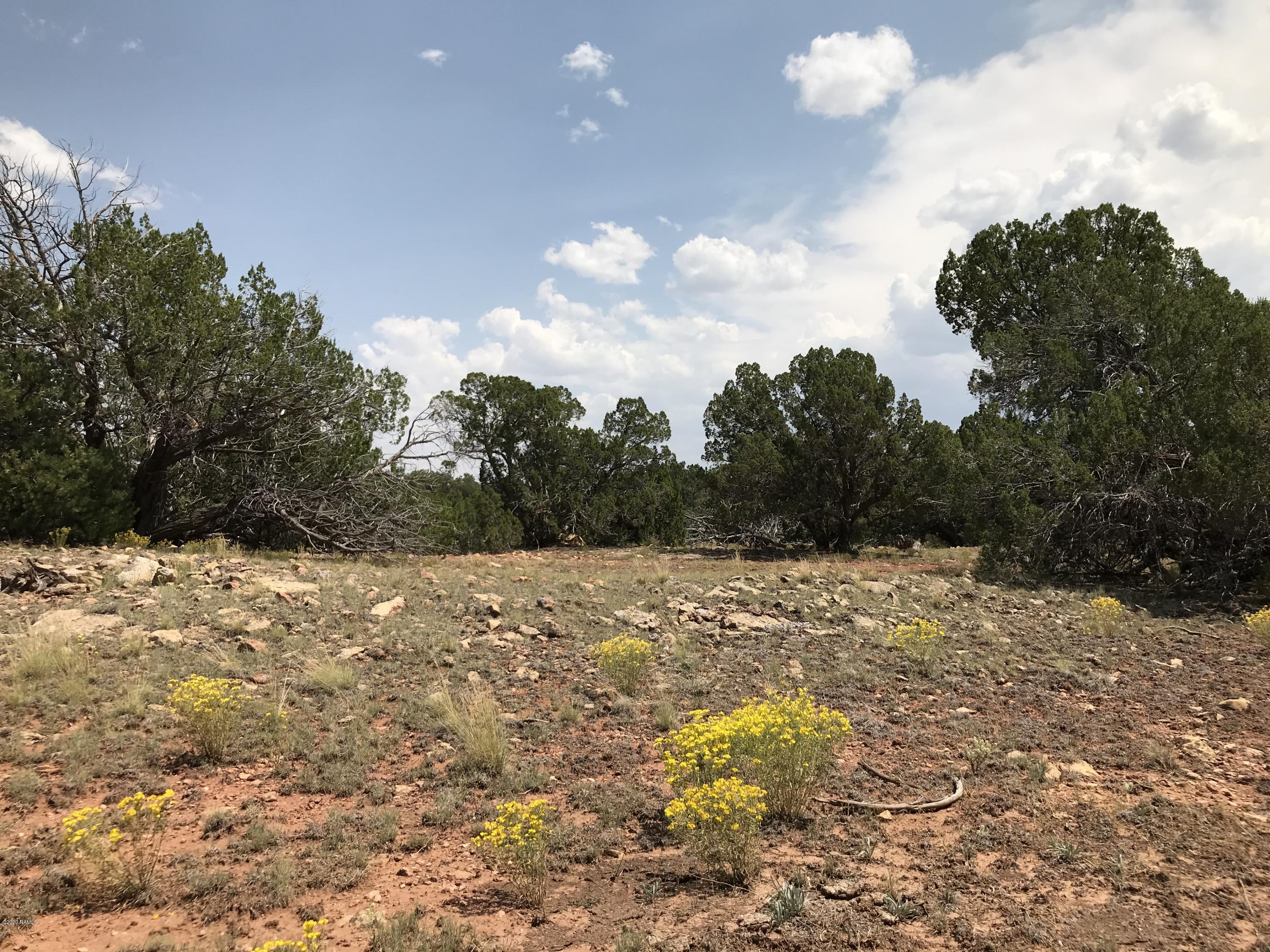 8346 Lariat Road Williams, AZ 86046 - Photo 9 of 11 0402D577-0419-4D0C-8321-99F3FBAE3B25