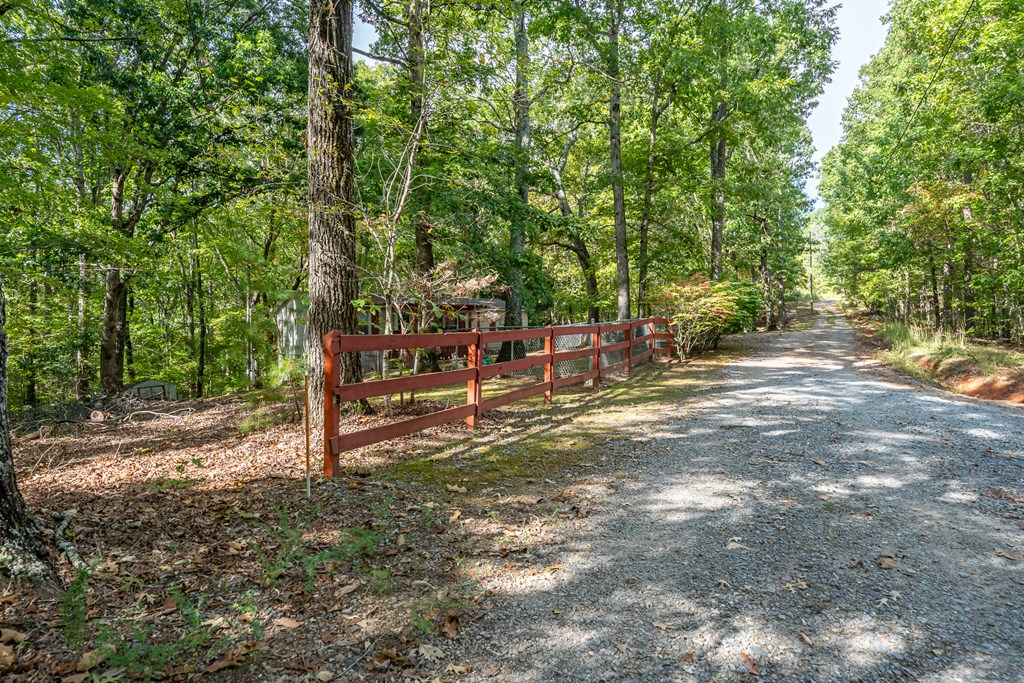 586 Log Round Mountain Road Talking Rock, GA 30175 - Photo 25 of 39 Gallery Image 25